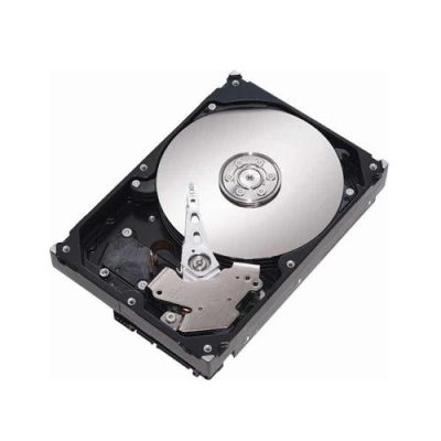 SEAST3000DM001-pimid47520-lg SEAST3000DM001-pimid47520-lg